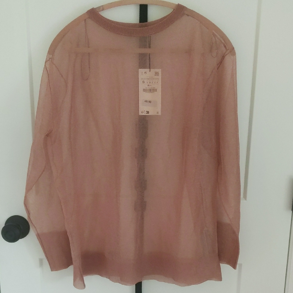 Zara Sheer Top in Soft Brown